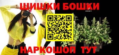 индика Мариинск