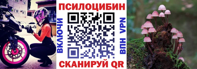хочу наркоту Советский Галлюциногенные грибы мухоморы