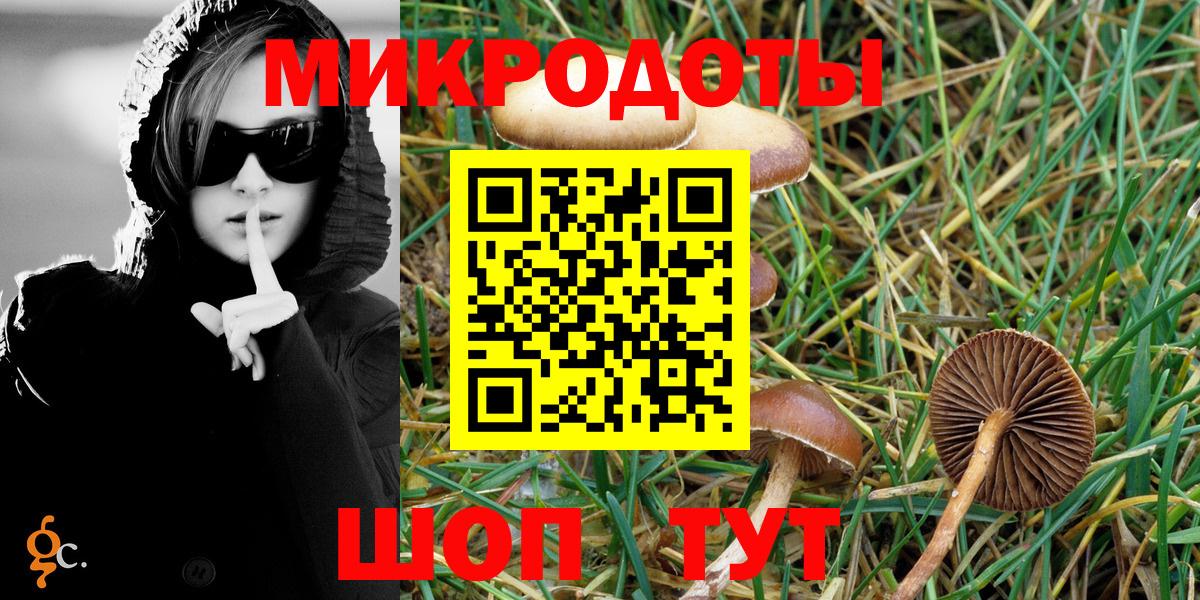 Галлюциногенные грибы мицелий Советский
