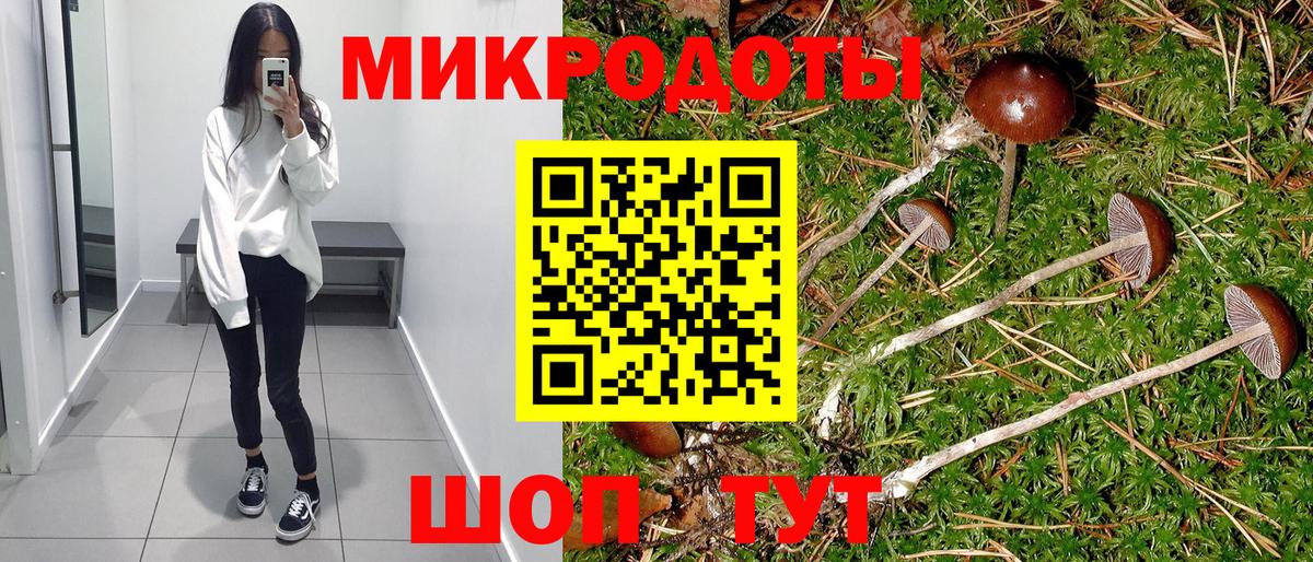 Галлюциногенные грибы мухоморы  Псилоцибиновые грибы Cubensis  Советский 